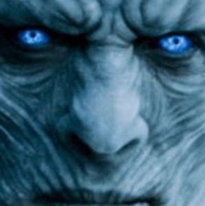 Meet your Posher, Steve